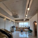 필라펠리스 이미지