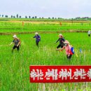 승평농장 이미지