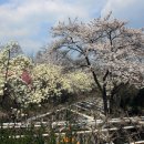 삼풍가든 이미지