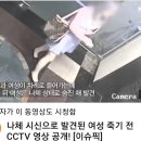 [분노주의] 정치 쪽에 호소 해서 조선족 들 입국 금지시키고 추방해야하는 이유.............. 이미지