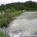 성주소류지 이미지