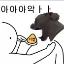 펫타팻 이미지