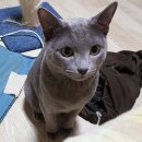 까치산로4길 이미지