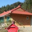 황금을따는마을 이미지