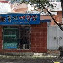 둘리애견 이미지