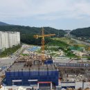 창곡주유소 Daum카페