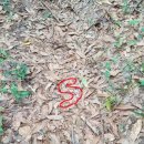 스웨이성형외과의원 이미지