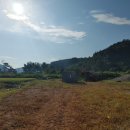 강인 농장 이미지