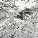 영웅이네펜션 이미지