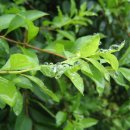 사진으로 본 새로운 세상 이미지