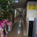 보문호반오리 불국사점 이미지