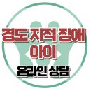 [온라인 상담: 경도 지적장애 아이] 한국아동청소년심리상담센터 이미지