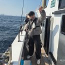 인천해양경찰서정서진파출소 | 강릉 배낚시 킹덤호 타고 참가자미 낚시 다녀온 리얼 후기