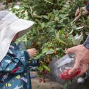 신유토마을 이미지