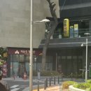 캐슬킹부동산공인중개사사무소 이미지