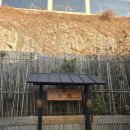 야간) 마음치유 시낭송 | 남해여행 료칸 온천 자쿠지 노천탕 호텔치유2 내돈내산