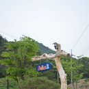 홍천아델펜션