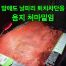 백두오리