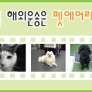 (주)펫에어라인 이미지