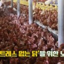 이상호농장 이미지