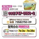 문막농협 | 2023 문막농협옥수수축제 방문 후기 우천으로 장소 변경