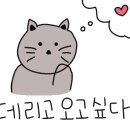 조아수산 이미지