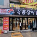 폭풍장어