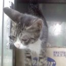 미성동-14 이미지