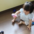 데이앤샵 이미지