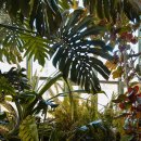 [국비지원] 조경기능사 필기 이미지