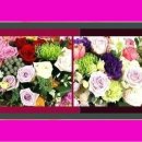 무안초당병원장례식장 이미지