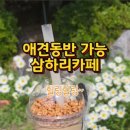 고봉막국수 이미지