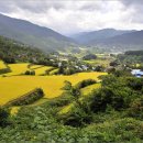 산내면 상황마을 이미지