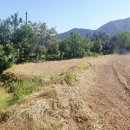 원요진농장 이미지