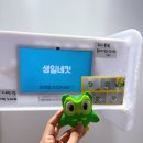 킹받네커피 | 2026 듀오링고 생일 카페 후기 :: 홍대 해피벌스데이