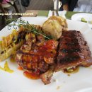 산책갈까? 이미지