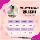 일산애견호텔 강아지 유치원 미용 맘바이 일산점 | 일산애견호텔 강아지유치원 미용 맘바이 일산점, 믿고 맡긴 우리 강아지 첫 일산애견유치원