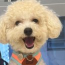 동물병원 오월의산책 이미지