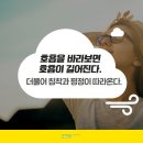 자기감정연구소 이미지