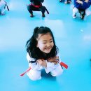 청일백호태권도 이미지