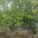 전원농약사 이미지