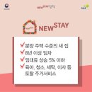 스테이(B) 이미지