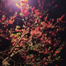 기아오토큐 봉천점 이미지