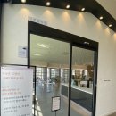 바이올렛커피&브런치 | 한솔동카페 바이올렛 커피 앤 브런치 내돈내산 후기/ 고양이카페 아니죠, 유기묘 보호 카페