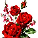 오동동006 이미지