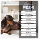 에스동물병원 이미지