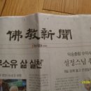자매과일야채 이미지