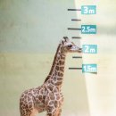 한울마루 이미지