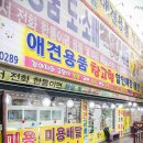 애견용품 창고형 할인매장 이미지