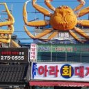 아라회대게 이미지